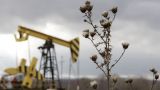 В Грузии продолжается полемика Корпорации нефти и газа с Frontera