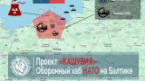 Под носом у России Польша готовит масштабный военный плацдарм НАТО в порту Гдыня