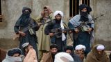 В Кабуле снова обратились к «Талибану» с предложением о переговорах
