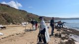 На черноморское побережье России снова выбросило мазут