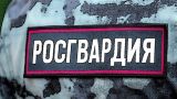 В новых регионах России созданы управления вневедомственной охраны Росгвардии