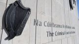 В Ирландии изрезавший ножом соседа мигрант выйдет на свободу через 1,5 года