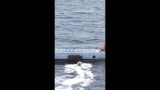 Франция испытала БЭК-камикадзе в Средиземном море