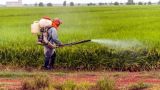 Экологи уличили Францию в массовом экспорте опасных пестицидов