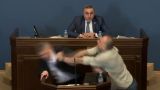 Обсуждение закона об иноагентах в парламенте Грузии обернулось мордобоем