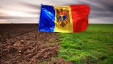 «Земляная жаба»: по команде Брюсселя Санду готовит черный передел молдавских угодий