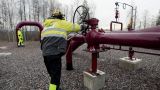 Газопровод Balticconnector в НАТО назвали «критической инфраструктурой»