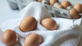 Врио губернатора Чукотки поручил создать достаточный «запас яиц»