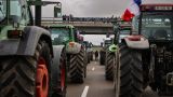На Париж! Французские фермеры осаждают столицу тракторными колоннами