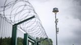 Эстония осилила три участка антидроновой стены на границе с Россией