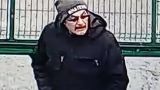 Продававший мясо в корейский ресторан живодер Пай получил реальный срок