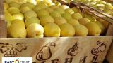 Exports have failed, apricot is not growing: Armenia continues to lose its largest market