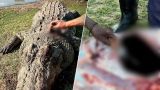 С ботинками: крокодил съел владельца гостиницы в ЮАР и еще пятерых человек
