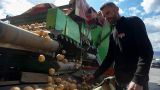Картофель подорожал в Европе на будущее на 700%: фермеров все равно не устраивает