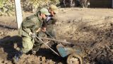 К ликвидации последствий паводка на Кубани привлечены военнослужащие ЮВО
