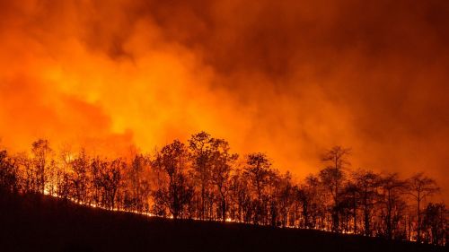 In France, a whole city burned down while firefighters rescued the villas of the stars next door