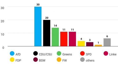 "Alternative for Germany" has reached a new level of support in the country
