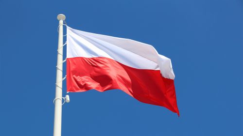 Польша не пустит российских и белорусских спортсменов на чемпионат по прыжкам в воду