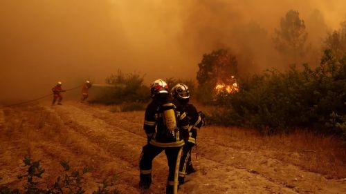 Ну вот и всё: Лесные пожары во Франции устроили русские — Филиппо