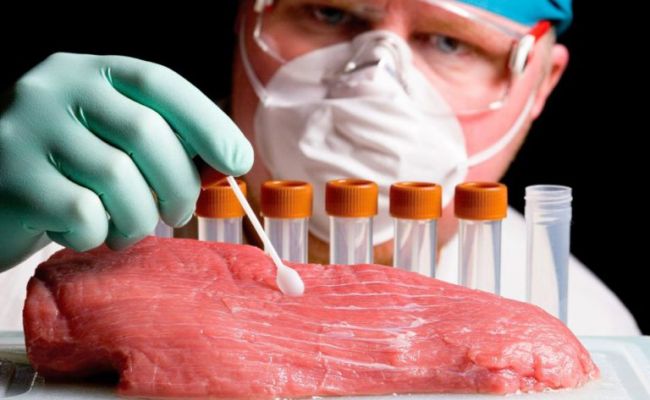 Казахстанский ящур в Россию не пройдёт ввоз мяса, молока