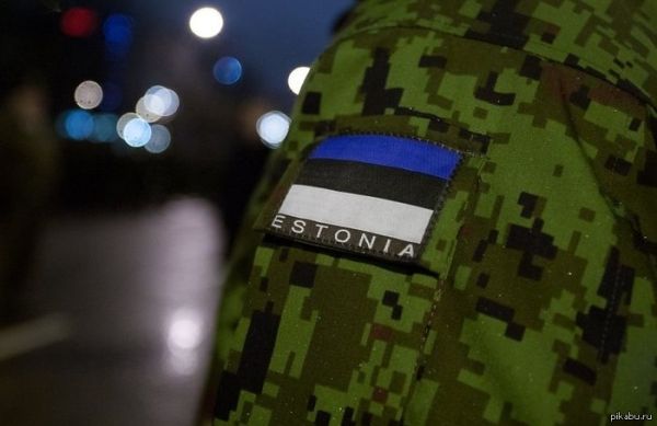 Минобороны Эстонии развивает инфраструктуру для бронетехники