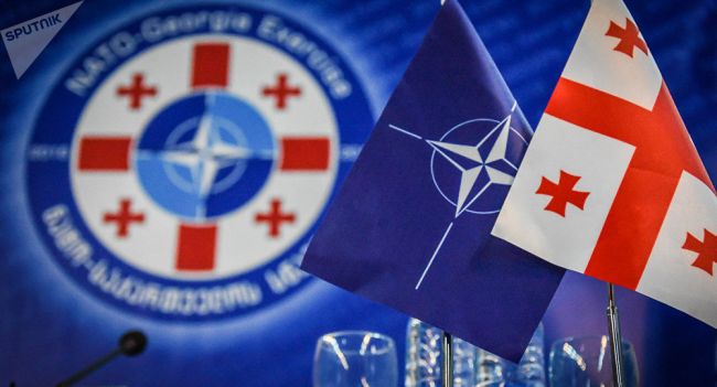 Грузия никогда не вступит в НАТО — оппозиционный политик — Новости политики, Новости Европы — EADaily