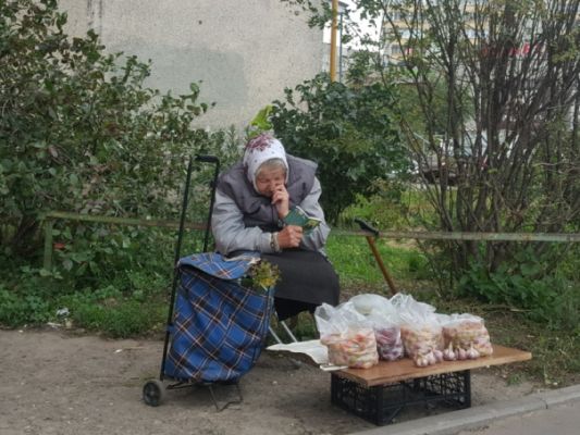 Фермерам позволят торговать продуктами на своих участках 1 84b7c16591a547edf05869ed1071d Фермерам позволят торговать продуктами на своих участках